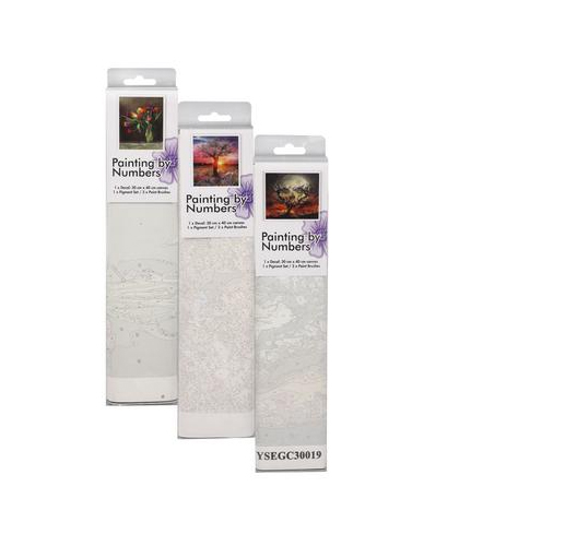 Paint by Number Sets/Kits